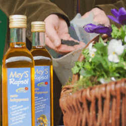 Rapsöl aus Lippe (500ml)