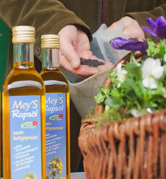Rapsöl aus Lippe (500ml)