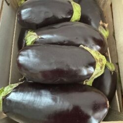 Aubergine