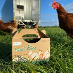 Mini-Eier in der Kilobox