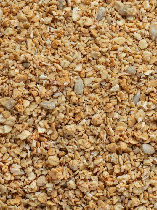 Hafer Granola mit Kokos – Bild 2