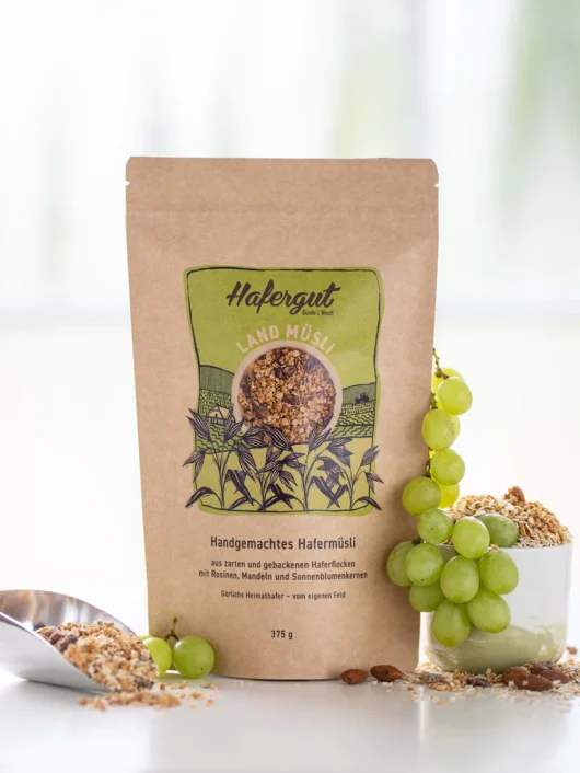 Hafer Müsli mit Rosinen