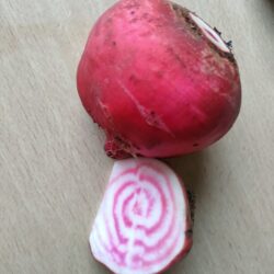 Ringelbeete
