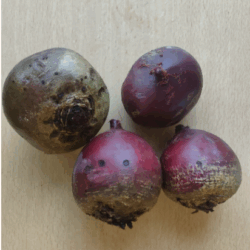 Rote Beete