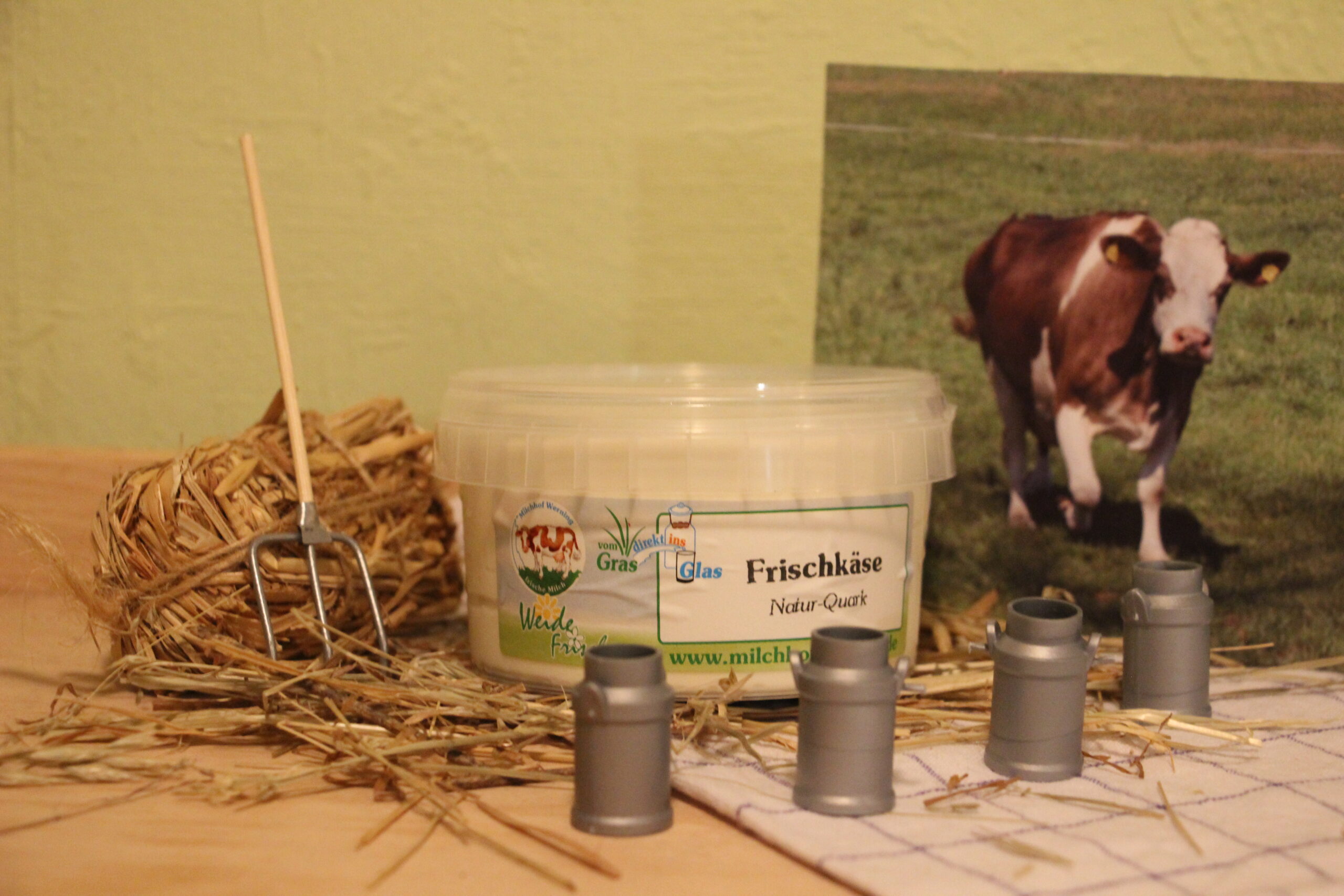 Frischkäse 'Natur-Quark'