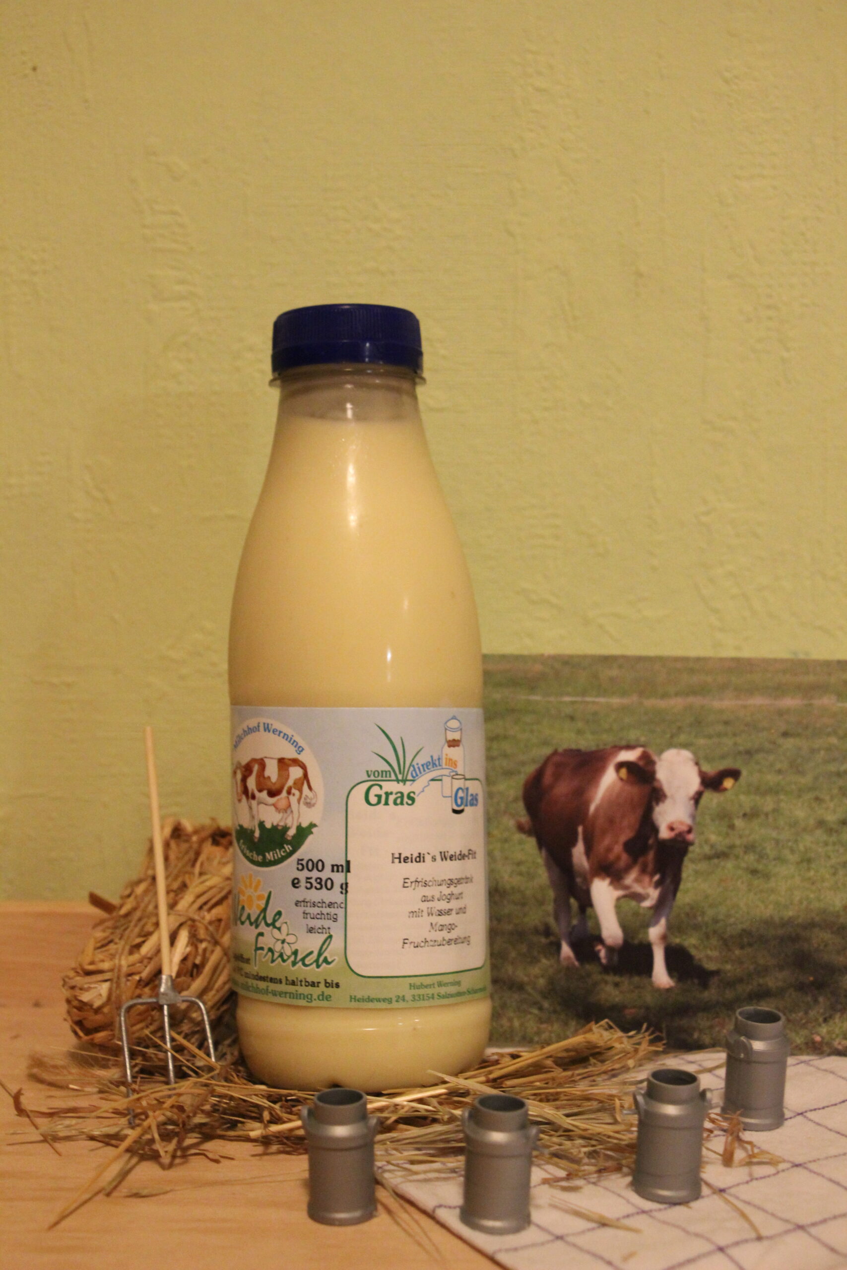 Heidi`s Weide-Fit 'Mango'