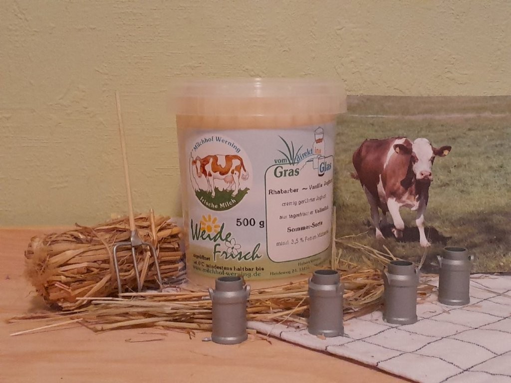 Joghurt Rhabarber-Vanille