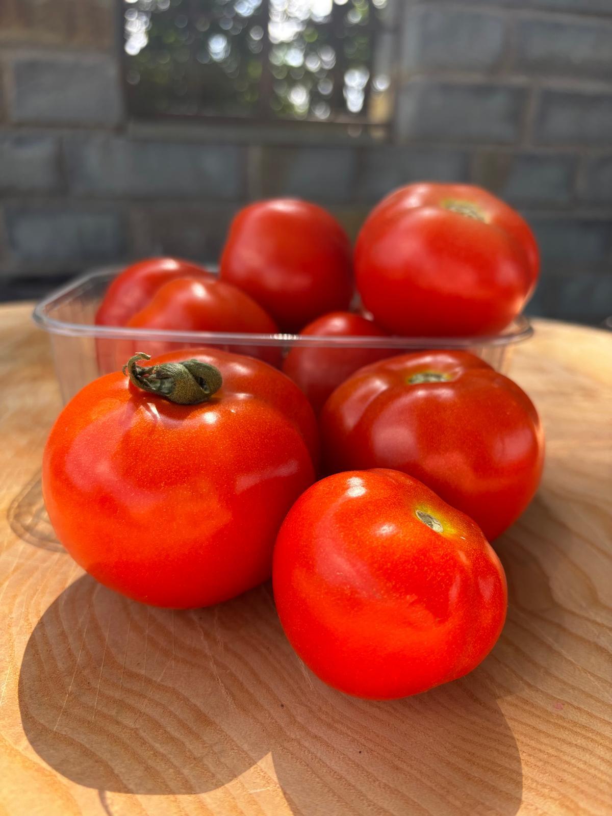 Tomaten